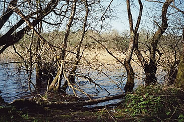 Old Archdale Castle Walk