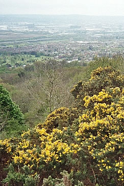 Belfast (view from Cave Hill Country Park)